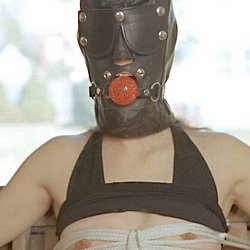 BDSM Videos Free Photos and Videos