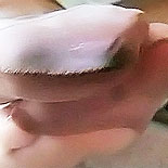 Nylon Fetish Videos