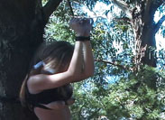 Rope Bondage Videos