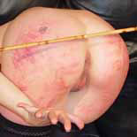 Free Spanking Picture